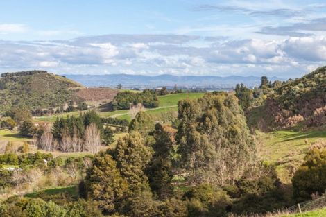 Photo of property in 78 Packtrack Road, Thames, 3577