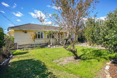 Photo of property in 8 D'arcy Street, Richmond, 7020