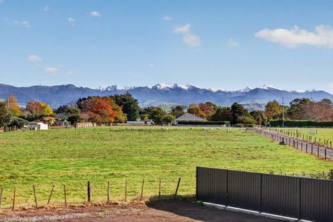 Photo of property in 42d Colville Street, Masterton, 5810