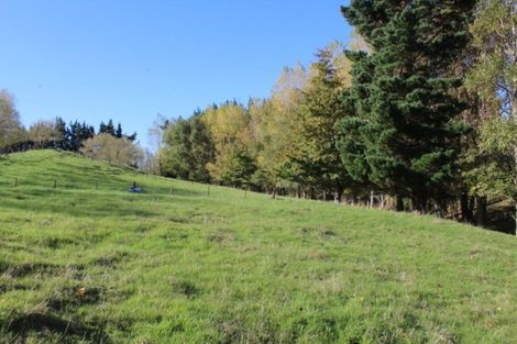 Photo of property in 175 Umutaoroa Road, Dannevirke, 4978