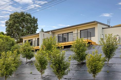 Photo of property in 4a Scott Street, Gate Pa, Tauranga, 3112