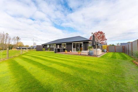 Photo of property in 29 Strawberry Place, Geraldine, 7930