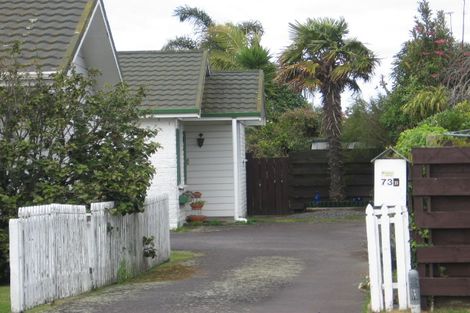 Photo of property in 73b Ascot Road, Mount Maunganui, 3116