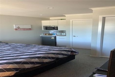 Photo of property in 20u4 Jones Crescent, Melville, Hamilton, 3206