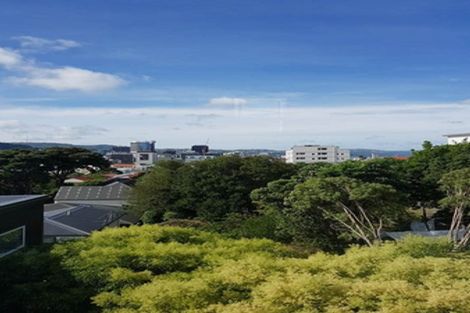 Photo of property in 46b Thompson Street, Mount Cook, Wellington, 6011