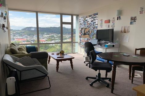 Photo of property in Mccallister Heights, 381u8 Adelaide Road, Newtown, Wellington, 6021