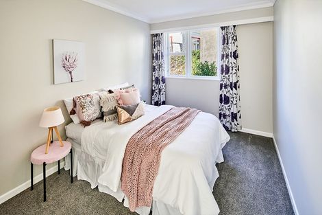 Photo of property in 20 Charlotte Avenue, Brooklyn, Wellington, 6021