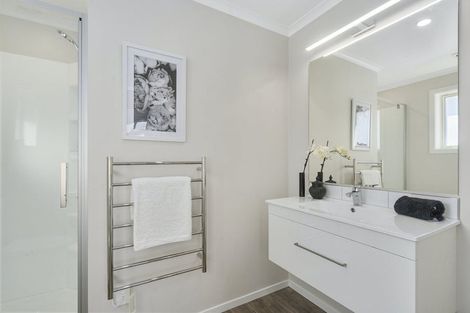 Photo of property in 80 Hinemoa Street, Levin, 5510