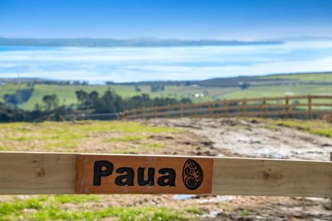 Photo of property in 189 Tuhirangi Road, Makarau, 0984