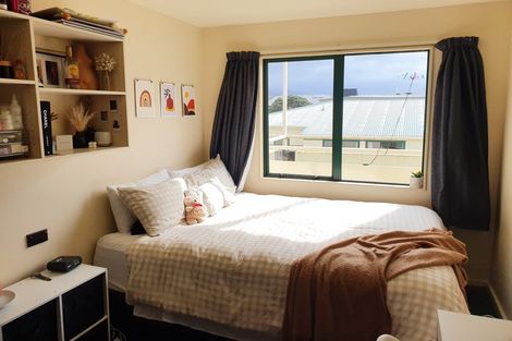 Photo of property in Te Awhina Apartments, 22u1 Sussex Street, Mount Cook, Wellington, 6021