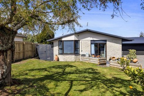 Photo of property in 20 Montjoy Street, Stratford, 4332