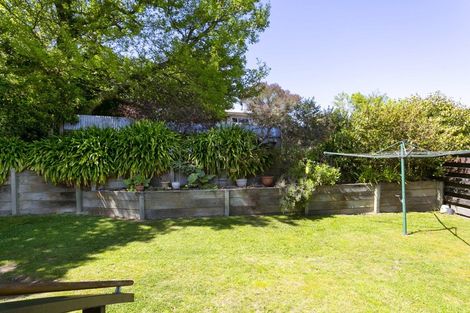 Photo of property in 17 Cumberland Street, Tauhara, Taupo, 3330