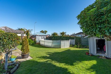 Photo of property in 171 Clarkin Road, Fairfield, Hamilton, 3214