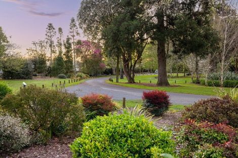 Photo of property in 41b C Burwood Road, Matamata, 3400
