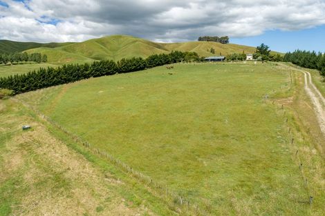 Photo of property in 287a Millars Road, Longbush, 5792