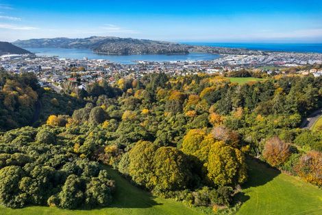 Photo of property in 21 Harcourt Street, Belleknowes, Dunedin, 9011