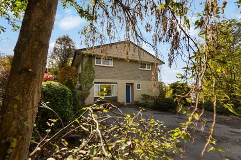 Photo of property in 217 Manuherikia Road, Springvale, Alexandra, 9393