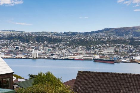 Photo of property in 207 Larnach Road, Waverley, Dunedin, 9013