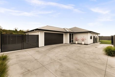 Photo of property in 31 Arihi Crescent, Frimley, Hastings, 4120