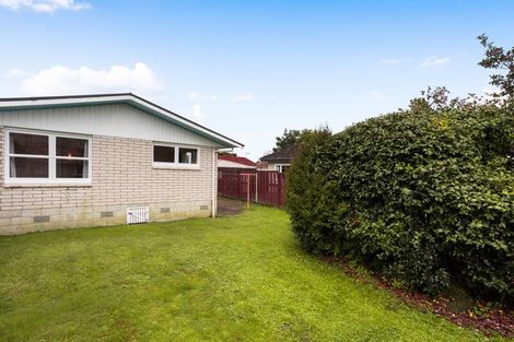 Photo of property in 163 Clarkin Road, Fairfield, Hamilton, 3214