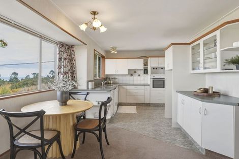 Photo of property in 28a Sheen Street, Roslyn, Dunedin, 9010
