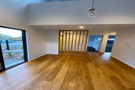 Photo of property in 141a Champion Street, Edgeware, Christchurch, 8013