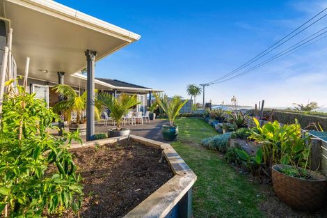 Photo of property in 94 Messenger Terrace, Oakura, 4314