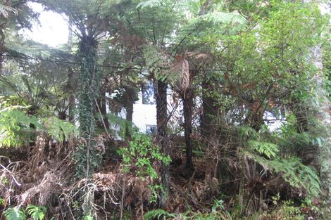 Photo of property in 12 Manuka Road, Titirangi, Auckland, 0604