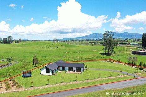 Photo of property in 133 Robson Road, Ngahinapouri, Hamilton, 3290