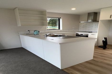 Photo of property in 238 Whitecliffs Road, Whitecliffs, 7673
