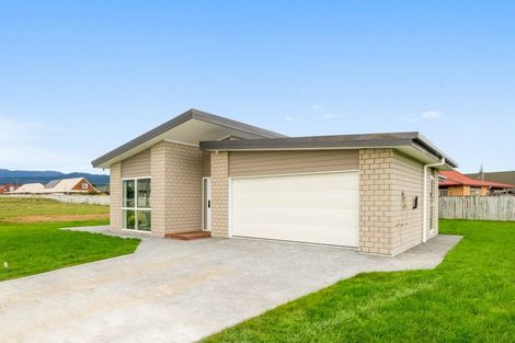 Photo of property in 22 Thorn Street, Levin, 5510