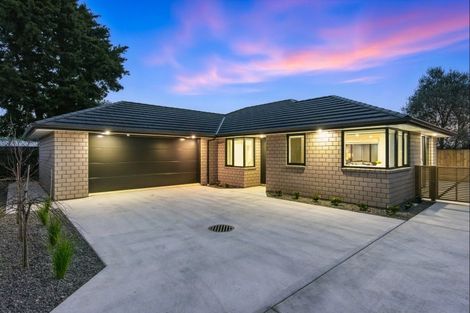 Photo of property in 21a Weraroa Road, Levin, 5510