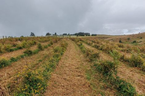 Photo of property in 836 Pungaere Road, Waipapa, Kerikeri, 0295