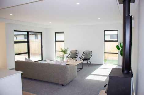 Photo of property in 46 Memorial Crescent, Methven, 7730