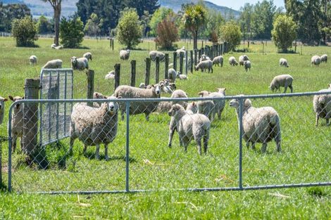 Photo of property in 49 Ashworths Road, Amberley, 7481