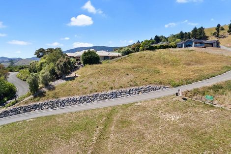 Photo of property in 17 Resolution Place, Richmond, 7020