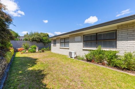 Photo of property in 103c Twelfth Avenue, Tauranga South, Tauranga, 3112