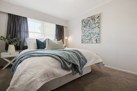 Photo of property in 9 Patrick Place, Fitzroy, Hamilton, 3206