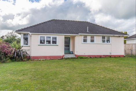 Photo of property in 35 Middlesex Street, Levin, 5510