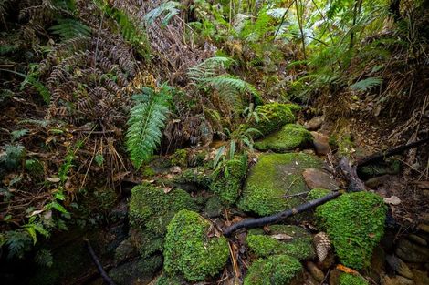 Photo of property in 22 Herring Stream Road, Motueka Valley, Motueka, 7196