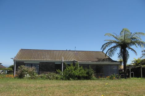 Photo of property in 29 Ngaparaoa Drive, Maketu, 3189