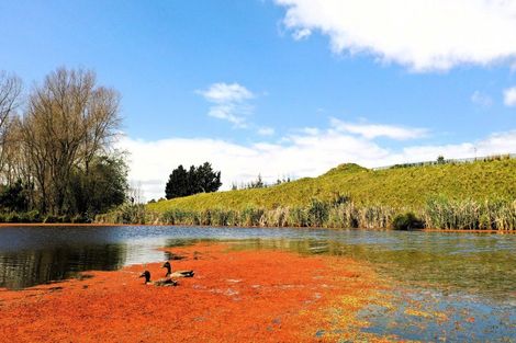 Photo of property in 70 Te Whanga Road, Levin, 5572