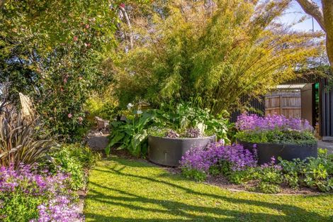 Photo of property in 15 Coddington Crescent, Masterton, 5810