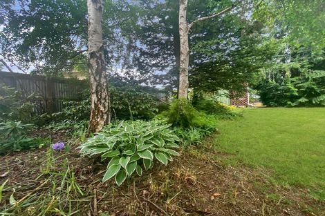 Photo of property in 55 Rata Road, Twizel, 7901