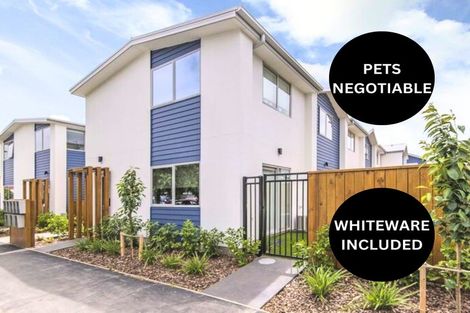 Photo of property in 8/257 Armagh Street, Christchurch Central, Christchurch, 8011