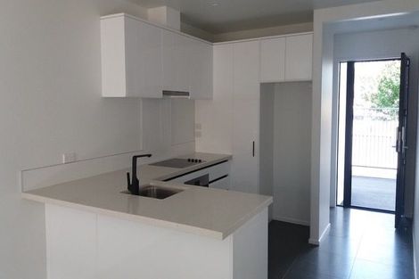 Photo of property in 1/36 Blackburn Street, Frankton, Hamilton, 3204