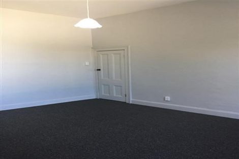 Photo of property in 41 Hope Street, Dunedin Central, Dunedin, 9016