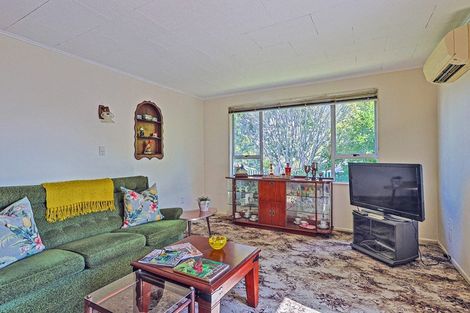 Photo of property in 118 Harlech Street, Mayfair, Hastings, 4122