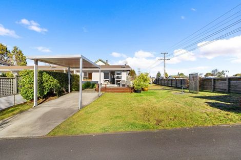 Photo of property in 23 Rotokawa Street, Taupo, 3330