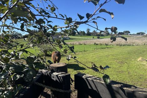 Photo of property in 160 Wayside Road, Te Kauwhata, 3782